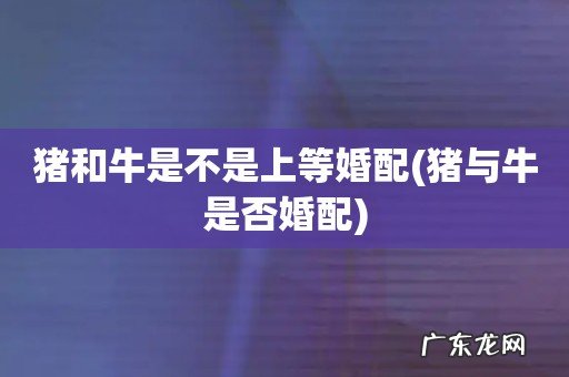 猪与牛是否婚配 猪和牛是不是上等婚配