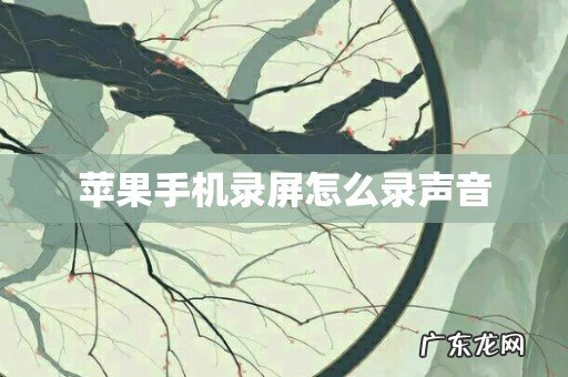 苹果手机录屏怎么录声音