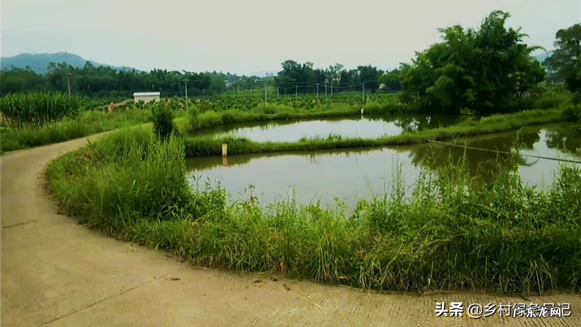 兴宁刘伟权 广东顺德兴宁客家风水留题