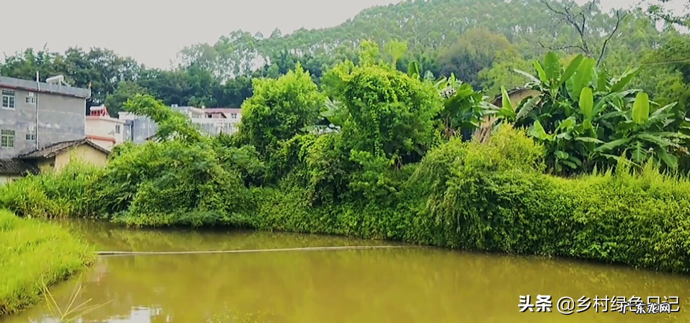 兴宁刘伟权 广东顺德兴宁客家风水留题