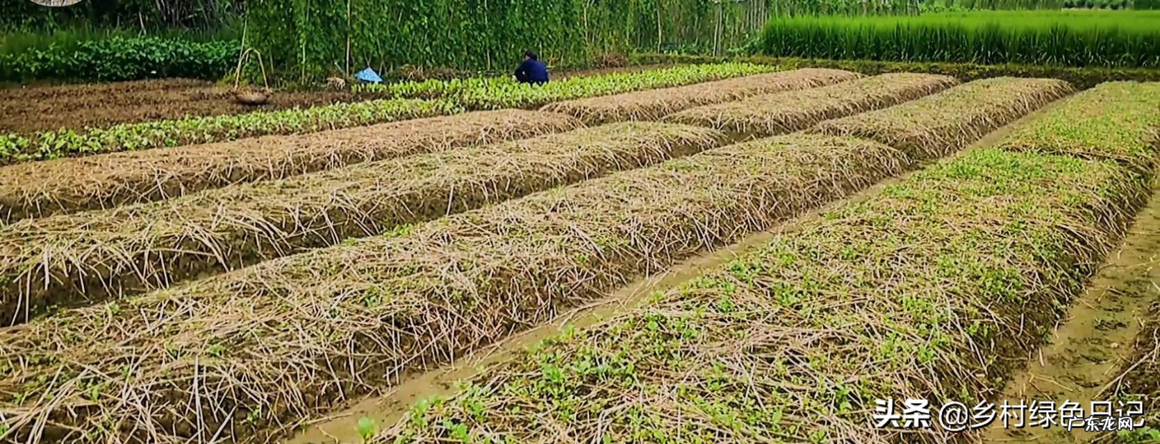 兴宁刘伟权 广东顺德兴宁客家风水留题