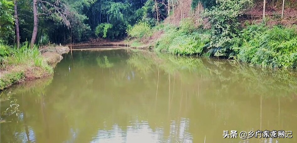 兴宁刘伟权 广东顺德兴宁客家风水留题