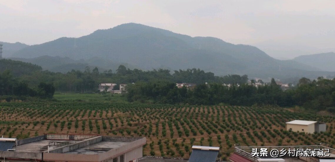 兴宁刘伟权 广东顺德兴宁客家风水留题