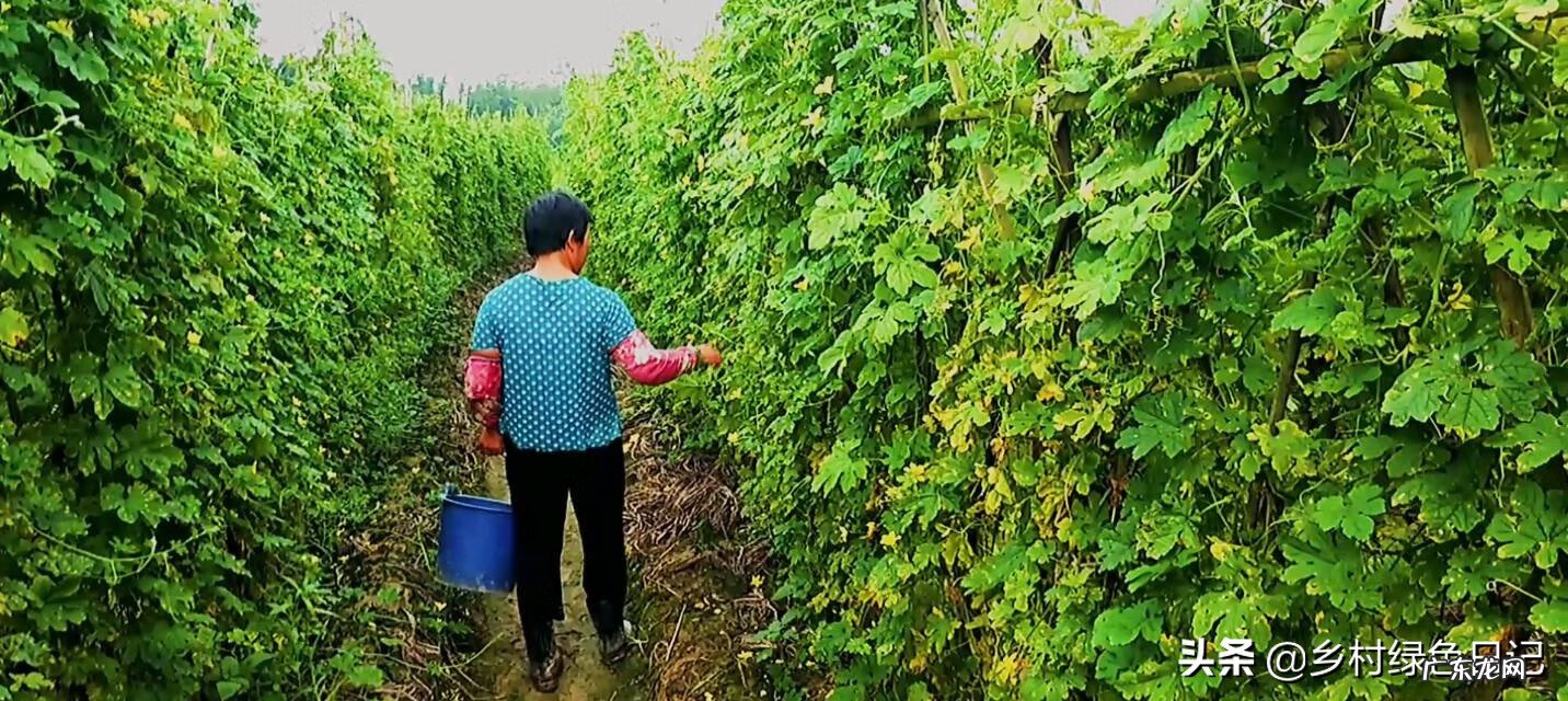 兴宁刘伟权 广东顺德兴宁客家风水留题