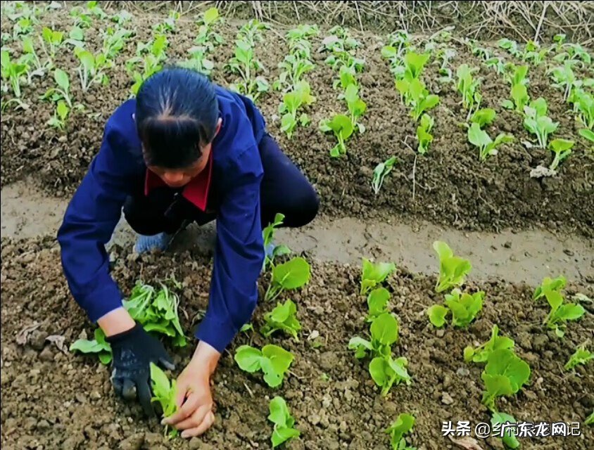 兴宁刘伟权 广东顺德兴宁客家风水留题
