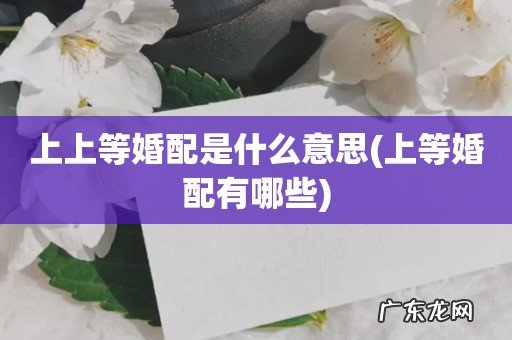 上等婚配有哪些 上上等婚配是什么意思