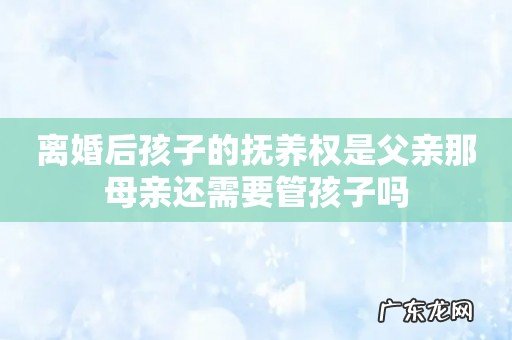 离婚后孩子的抚养权是父亲那母亲还需要管孩子吗