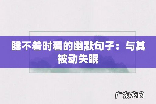 睡不着时看的幽默句子：与其被动失眠