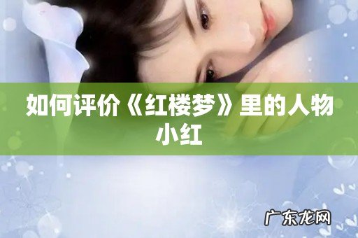 如何评价《红楼梦》里的人物小红