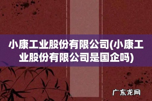 小康工业股份有限公司是国企吗 小康工业股份有限公司
