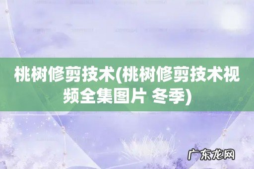 桃树修剪技术视频全集图片 冬季 桃树修剪技术