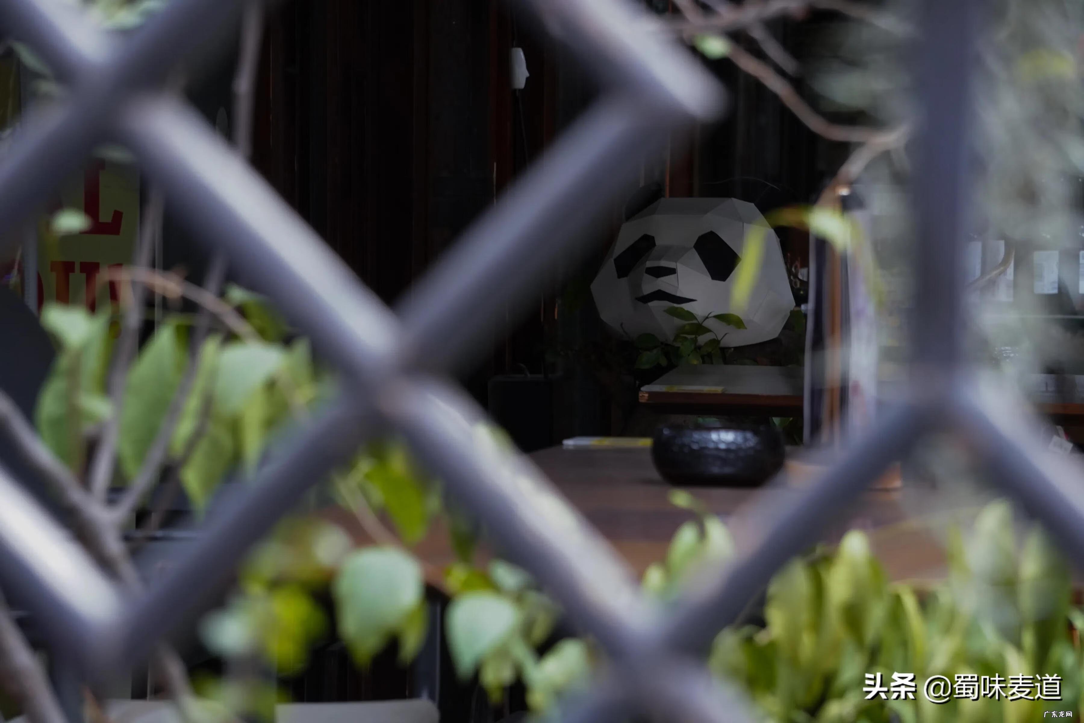 房屋对面巷好不好 宽窄巷子宽度和长度