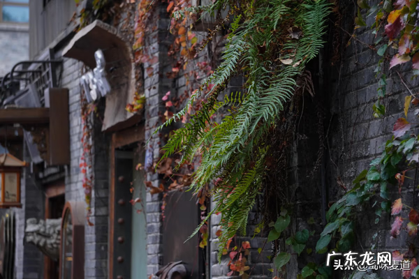 房屋对面巷好不好 宽窄巷子宽度和长度