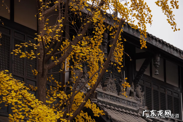 房屋对面巷好不好 宽窄巷子宽度和长度