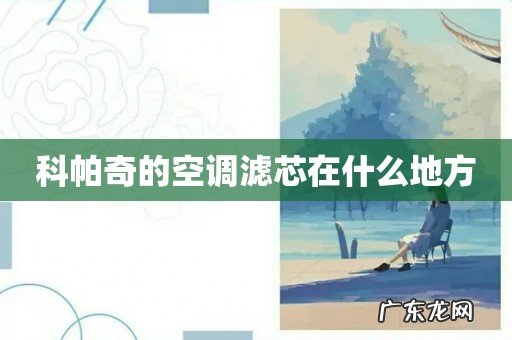 科帕奇的空调滤芯在什么地方