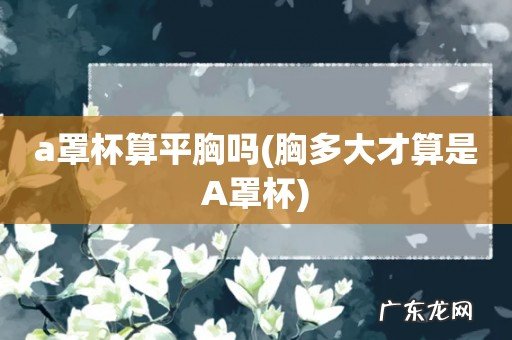 胸多大才算是A罩杯 a罩杯算平胸吗