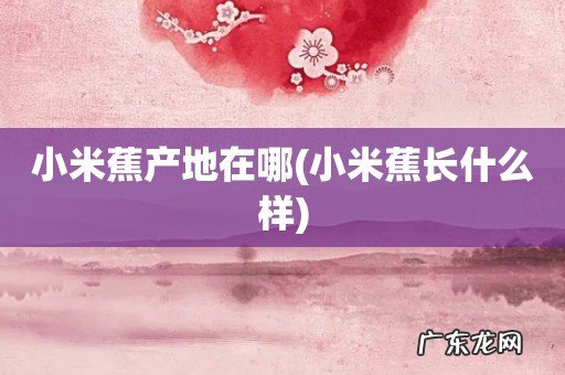 小米蕉长什么样 小米蕉产地在哪