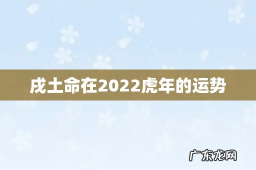 戌土命在2022虎年的运势