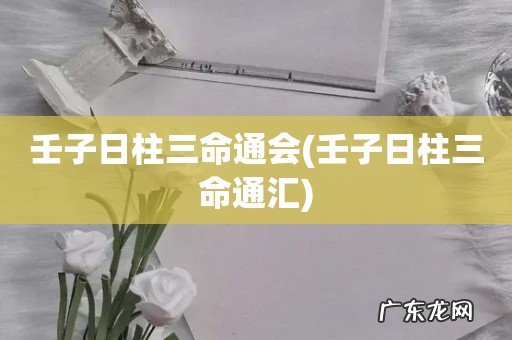 壬子日柱三命通汇 壬子日柱三命通会