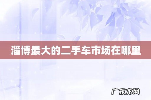 淄博最大的二手车市场在哪里