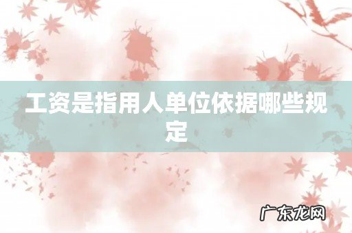 工资是指用人单位依据哪些规定