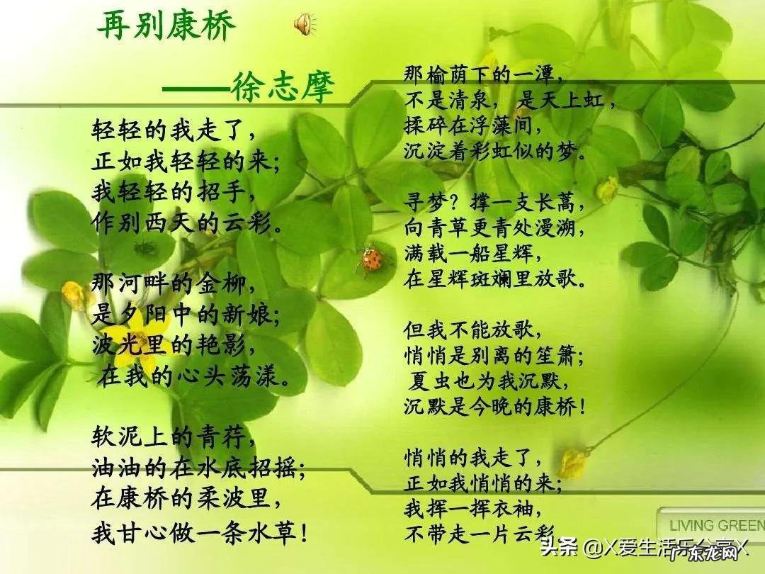 轻轻的我走了,下一句 轻轻的我走了还是悄悄的我走了