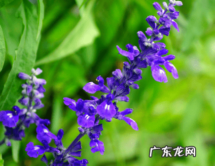 祛痘最好的方法有哪些 最有效的祛痘方法是什么