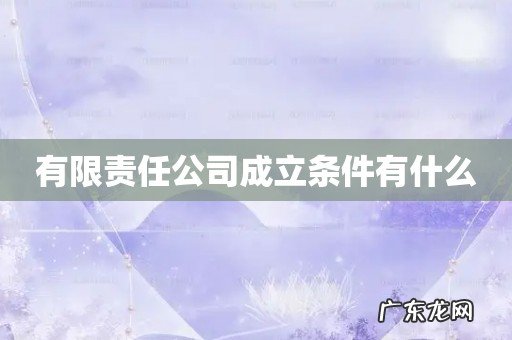 有限责任公司成立条件有什么