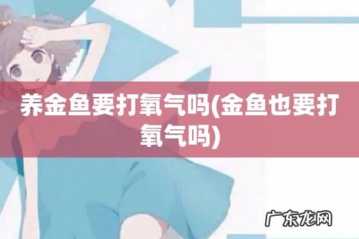 金鱼也要打氧气吗 养金鱼要打氧气吗