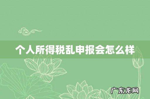 个人所得税乱申报会怎么样
