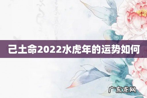 己土命2022水虎年的运势如何