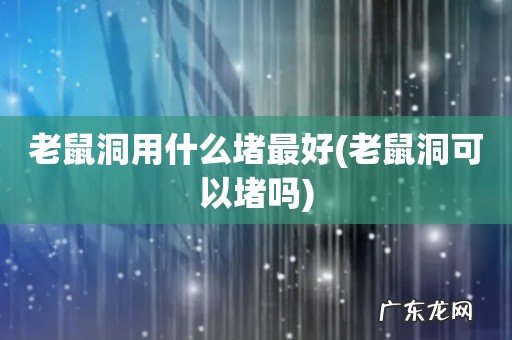 老鼠洞可以堵吗 老鼠洞用什么堵最好