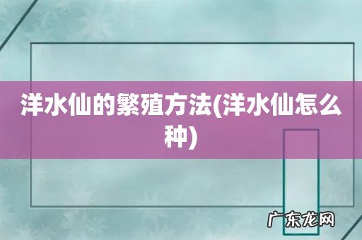 洋水仙怎么种 洋水仙的繁殖方法