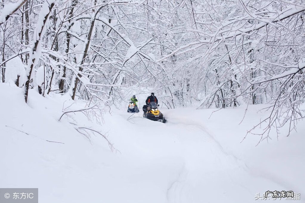 雪的作文300字左右 描写雪的作文