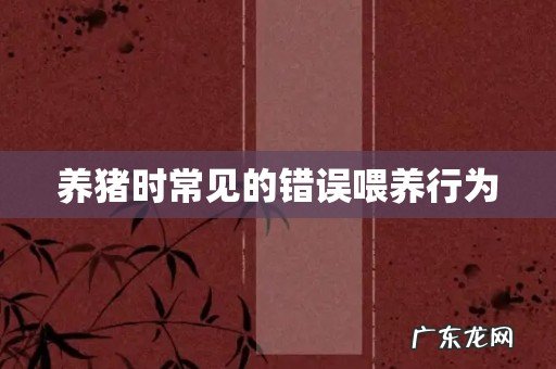 养猪时常见的错误喂养行为