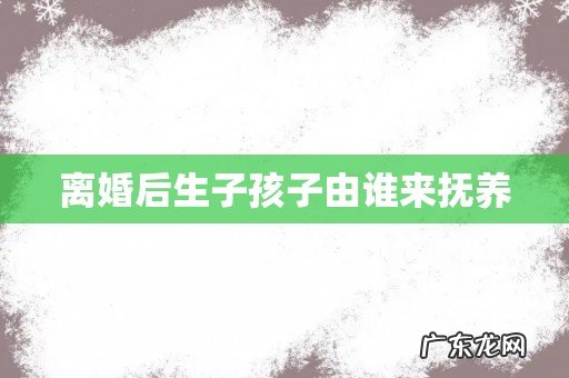 离婚后生子孩子由谁来抚养