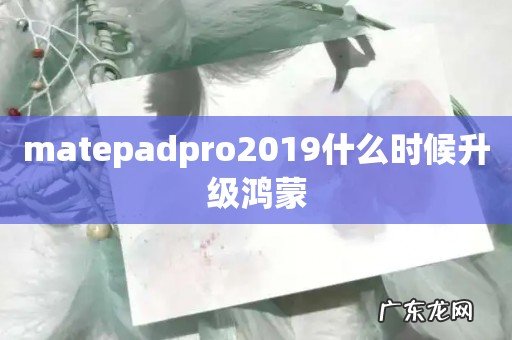 matepadpro2019什么时候升级鸿蒙