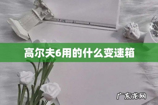 高尔夫6用的什么变速箱