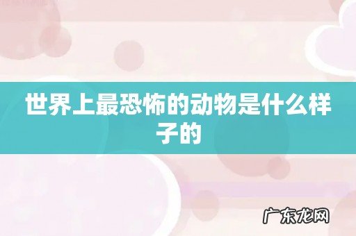 世界上最恐怖的动物是什么样子的