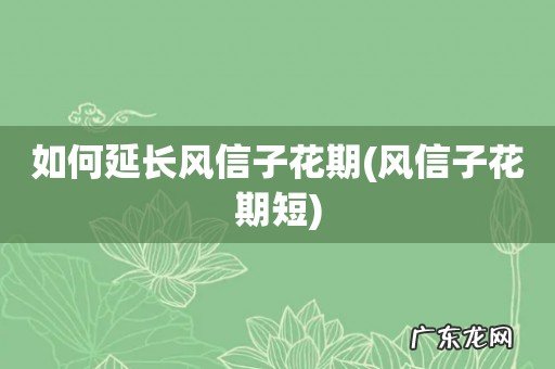 风信子花期短 如何延长风信子花期