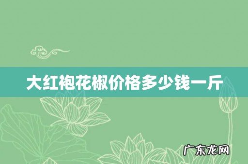 大红袍花椒价格多少钱一斤