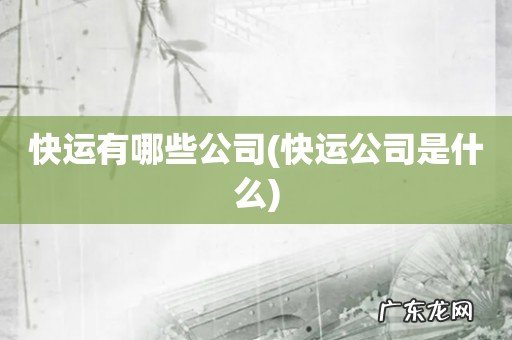 快运公司是什么 快运有哪些公司
