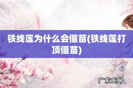 铁线莲打顶僵苗 铁线莲为什么会僵苗