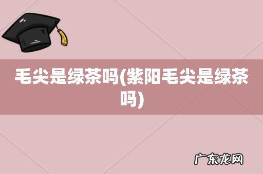 紫阳毛尖是绿茶吗 毛尖是绿茶吗