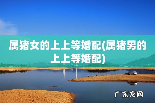 属猪男的上上等婚配 属猪女的上上等婚配