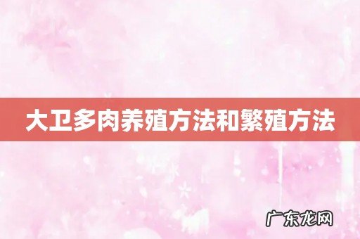 大卫多肉养殖方法和繁殖方法