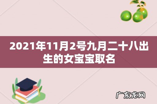 2021年11月2号九月二十八出生的女宝宝取名