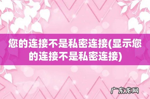 显示您的连接不是私密连接 您的连接不是私密连接