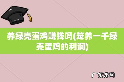 笼养一千绿壳蛋鸡的利润 养绿壳蛋鸡赚钱吗