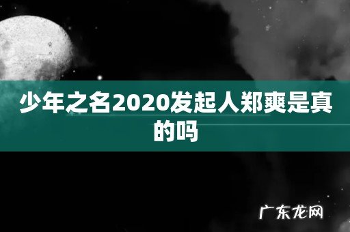 少年之名2020发起人郑爽是真的吗